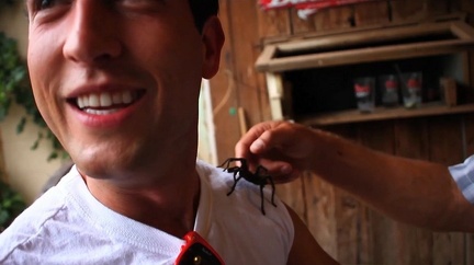 TOWH BTS 11