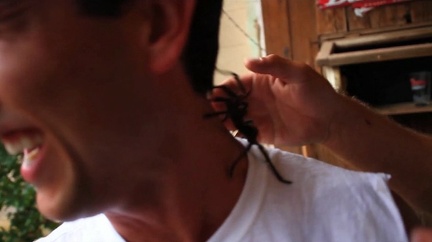 TOWH BTS 16