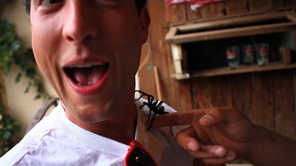 TOWH BTS 14