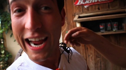 TOWH BTS 15