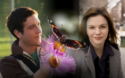 ButterfliesWallpaper 800 big