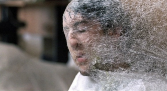 Infestation DVD 038